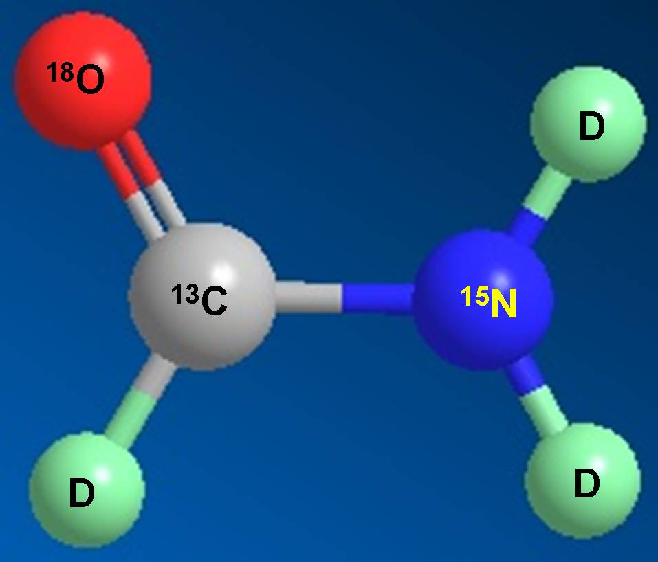 威客电竞科研职员受邀担当同位素手艺交流培训会讲师