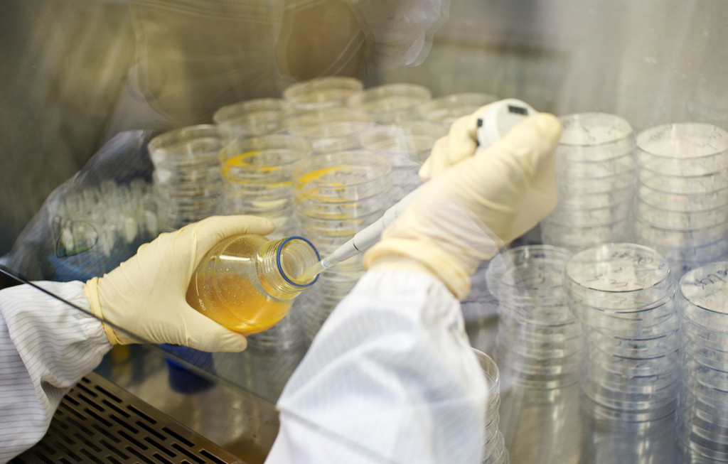 威客电竞(vkgame)-为竞技而生