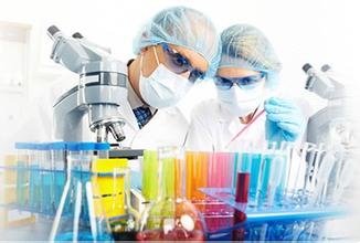 威客电竞(vkgame)-为竞技而生