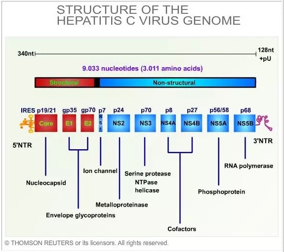 威客电竞(vkgame)-为竞技而生