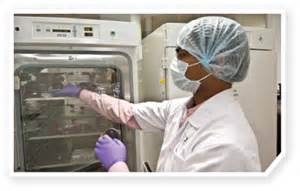 威客电竞(vkgame)-为竞技而生