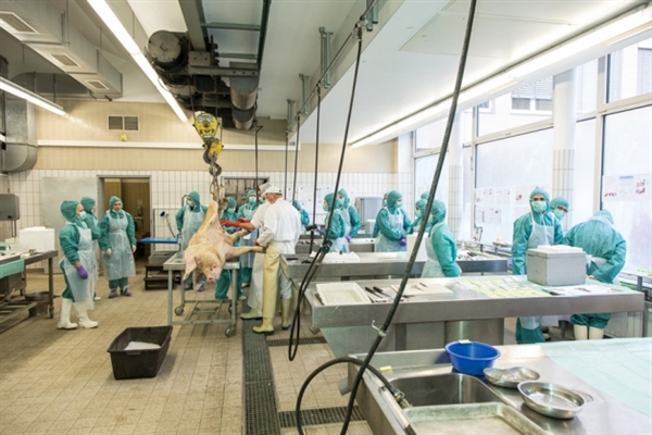 威客电竞(vkgame)-为竞技而生