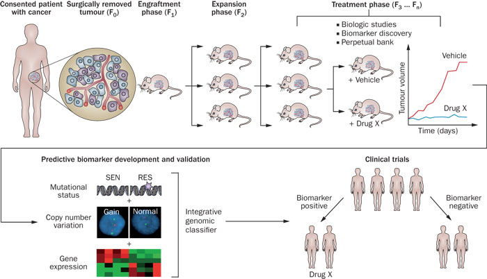 威客电竞(vkgame)-为竞技而生