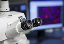 改委监控三类药价，，，，，本钱价视察将启动