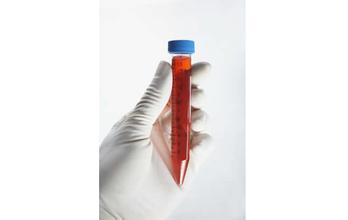 威客电竞(vkgame)-为竞技而生