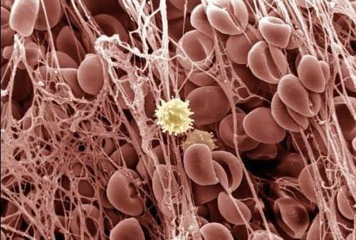 威客电竞(vkgame)-为竞技而生