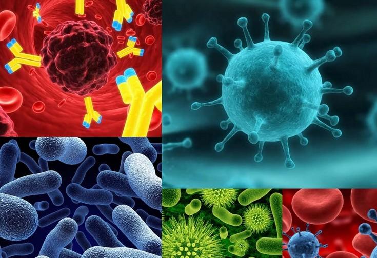 威客电竞(vkgame)-为竞技而生