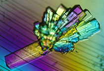 PD-1抑制剂成“抗癌神器”，，，，，，，，海内外企业希望怎样？？？？？？？