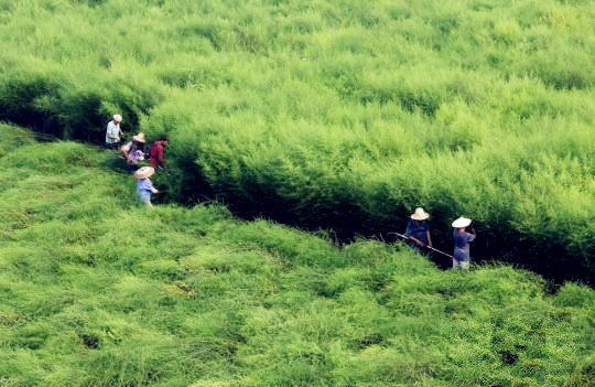 威客电竞(vkgame)-为竞技而生