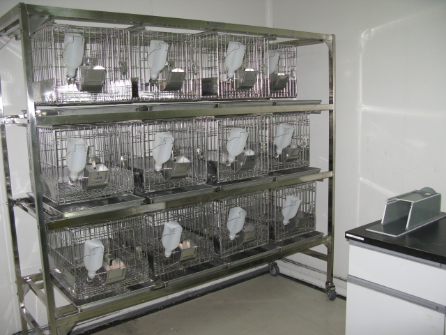 威客电竞普亚新动物房通过上海动管会验收