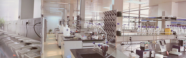 威客电竞(vkgame)-为竞技而生