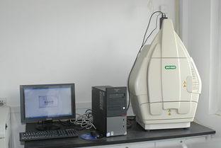 威客电竞(vkgame)-为竞技而生