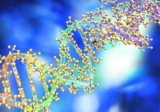 盘货美国FDA批准上市的转基因动植物生产的新药