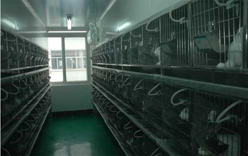 威客电竞实验动物房