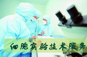 威客电竞细胞实验效劳外包