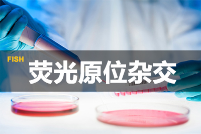 威客电竞荧光原位杂交手艺