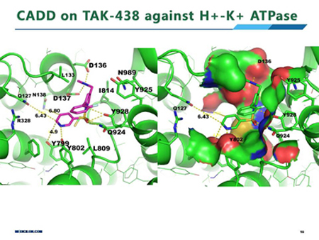 威客电竞(vkgame)-为竞技而生