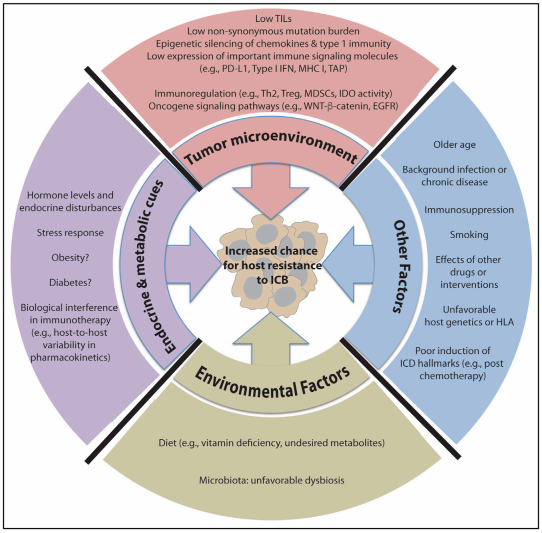 威客电竞(vkgame)-为竞技而生