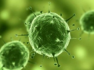 威客电竞(vkgame)-为竞技而生