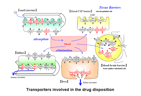威客电竞(vkgame)-为竞技而生