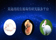 威客电竞的生殖毒性研究效劳平台