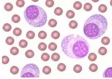 威客电竞(vkgame)-为竞技而生