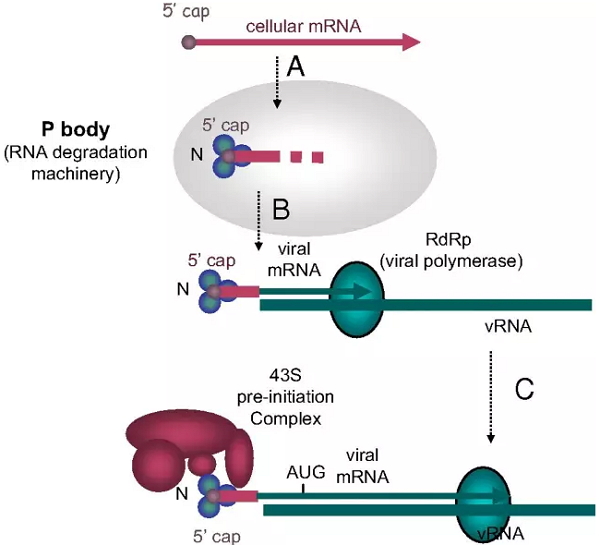 威客电竞(vkgame)-为竞技而生
