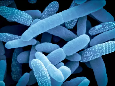 威客电竞(vkgame)-为竞技而生