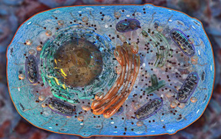 威客电竞(vkgame)-为竞技而生