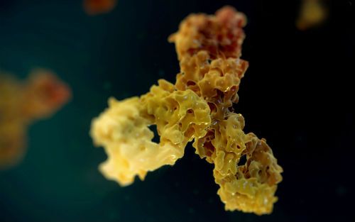 威客电竞(vkgame)-为竞技而生