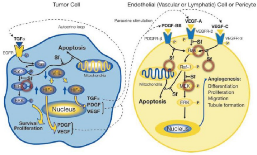 威客电竞(vkgame)-为竞技而生
