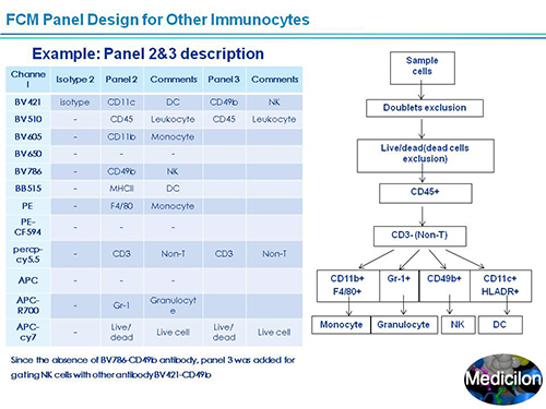 威客电竞副总裁汪俊博士SAPA-DC聚会演讲PPT