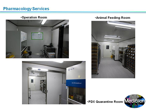 威客电竞副总裁汪俊博士SAPA-DC聚会演讲PPT