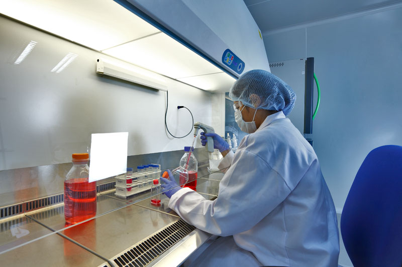 单品种用度或达万万？？？？？？？？一致性评价尚有这四大“坎”