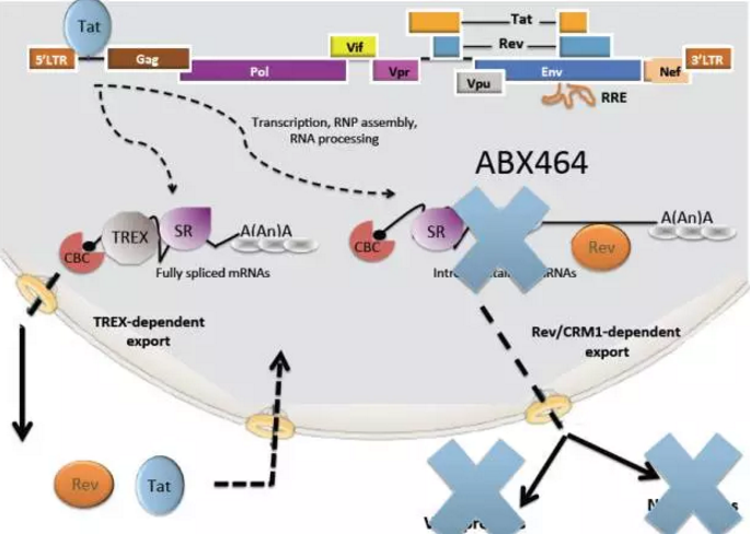 威客电竞(vkgame)-为竞技而生