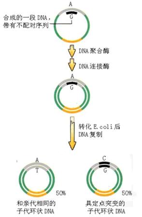 威客电竞(vkgame)-为竞技而生