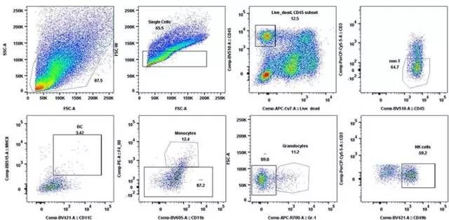 威客电竞(vkgame)-为竞技而生