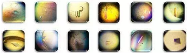 威客电竞(vkgame)-为竞技而生