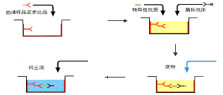 威客电竞(vkgame)-为竞技而生