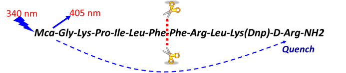 威客电竞(vkgame)-为竞技而生