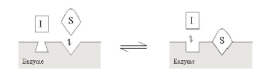 威客电竞(vkgame)-为竞技而生