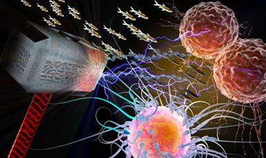 威客电竞(vkgame)-为竞技而生