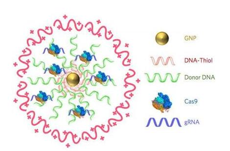 威客电竞(vkgame)-为竞技而生