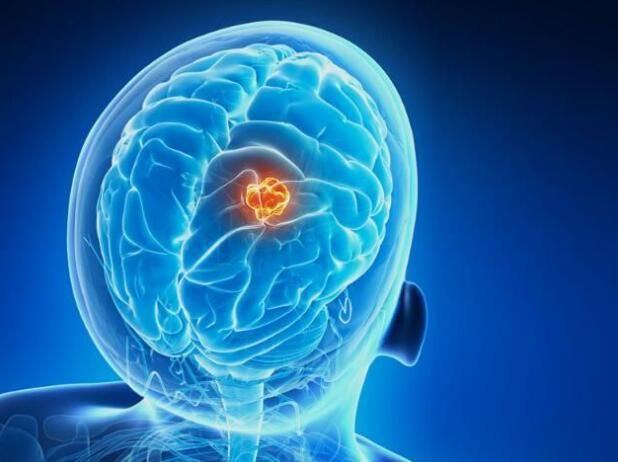 威客电竞(vkgame)-为竞技而生