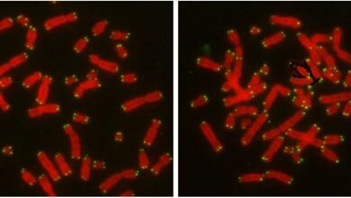 威客电竞(vkgame)-为竞技而生