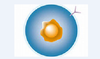 威客电竞(vkgame)-为竞技而生