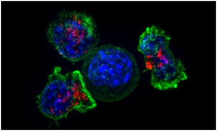 威客电竞(vkgame)-为竞技而生