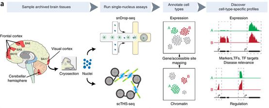 威客电竞(vkgame)-为竞技而生
