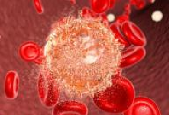 威客电竞(vkgame)-为竞技而生