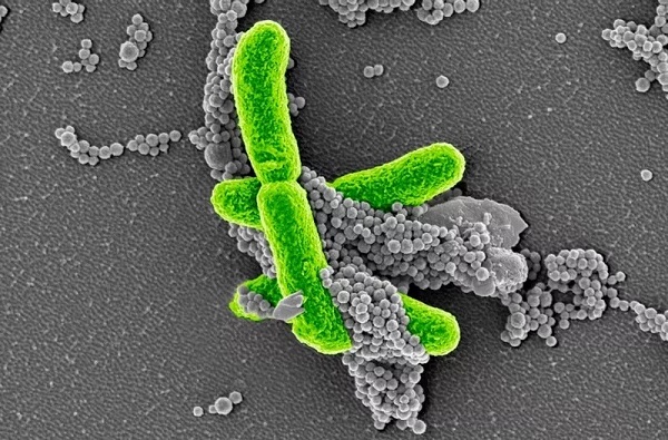 威客电竞(vkgame)-为竞技而生